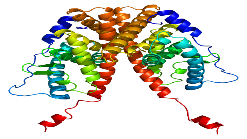 A protein 3D structure